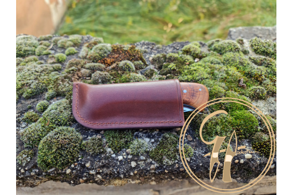 little_guy_kis_ficko_slipjoint_folding_knife_titanium_bicska_zsebkes_2